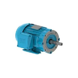 WEG 00212ET3E184JM-W22 Electric Motor, 2Hp, 60Hz, 1165 Rpm | BB7AKB