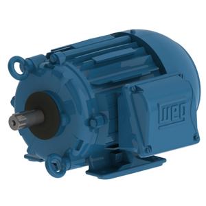 WEG 00289EP3PCT145V-W22 Electric Motor, 2/0.5Hp, 60Hz, 900/1800 Rpm | BB6PWP