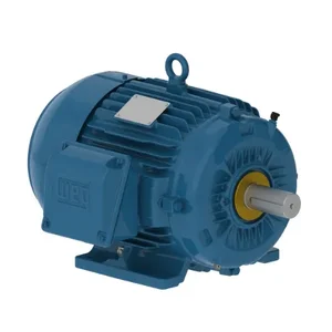 WEG 00536ST3HIE184T-W22 Electric Motor, 5Hp, 60Hz, 3500 Rpm | BB7MFM