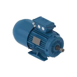 WEG 00318ET3EBM182T-W22 Electric Motor, 3Hp, 60Hz, 1800 Rpm | BB8BUP