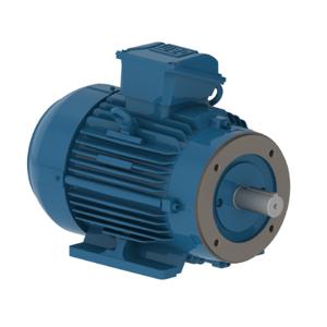 WEG 01536OP3V215JPV-S Electric Motor, 15Hp | BB9DFP