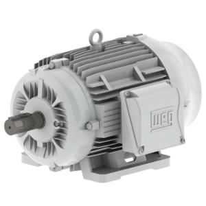 WEG 00712ES3EOW254T-W22 Well Motor, 7.5 Hp, 1125 Rpm, 208-230/460 | AE8TZN 6FHY8