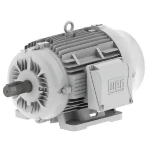 WEG 01009ES3EOW286T-W22 Oil Well Motor, 10 Hp, 830 Rpm, 208-230/460 | AE8TZQ 6FHZ0