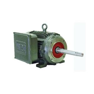 WEG 00736es1e213JP Electric Motor, 7.5Hp, 60Hz, 3515 Rpm | BB7HGC