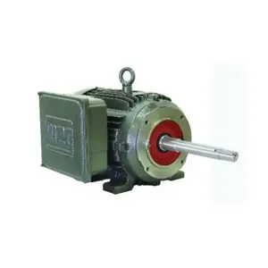 WEG 00336ES1E145JP Electric Motor, 3Hp, 60Hz, 3500 Rpm | BB7GCF