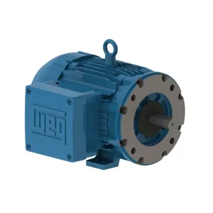 WEG 00518XT3H184TC Electric Motor, 5Hp, 60Hz, 1800 Rpm | BB8QLL