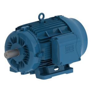 WEG 00709ET3Y160L-W22 Electric Motor, 7.5Hp, 60/50Hz, 900 Rpm | BB9GLP