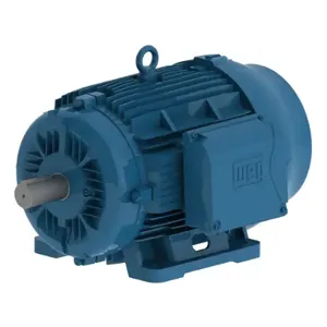 WEG 00409ET3Y160M-W22 Electric Motor, 4Hp, 60/50Hz, 900 Rpm | BC3BND