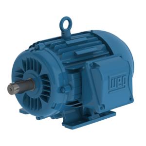 WEG 00718ET3E213TF2-W22 TEFC AC General Purpose Motor | BB7GCL