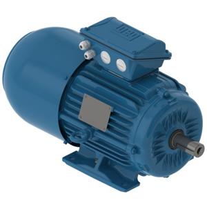 WEG 01012ET3EBM256T-W22 Electric Motor, 10Hp, 60Hz, 1200 Rpm | BB9PNW