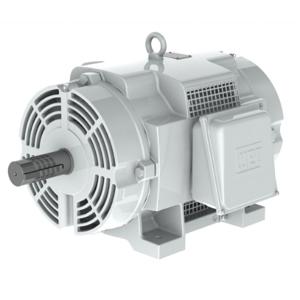 WEG 01012OS3EOW256T Well Motor, 10 Hp, 1110 Rpm, 208-230/460 | AC9KMH 3HAN5