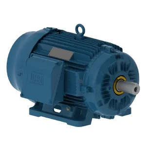 WEG 01512ST3HIE284T-W22 Electric Motor, 15Hp, 60Hz, 1175 Rpm | BB7GCP