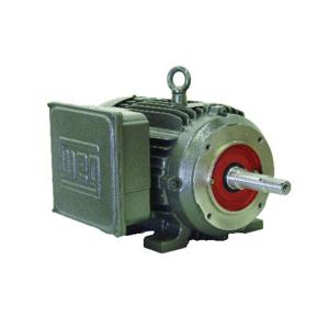 WEG 00156ES1E143JM Electric Motor, 1.5Hp, 60Hz, 3530 Rpm | BB6HVE