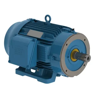 WEG 02536ST3QIE284TSC-W2 Electric Motor, 25Hp, 60Hz, 3535 Rpm | BB4EFU