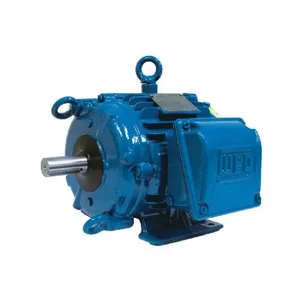 WEG 00312AT3PCT213TF1-W2 Electric Motor, 3Hp, 60Hz, 1170 Rpm | BB7QCY