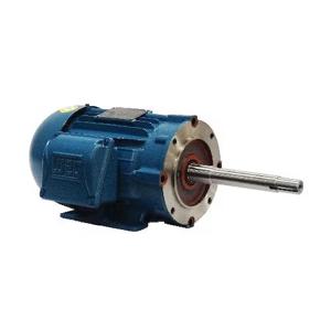 WEG 01512ET3E284JP-W22 Electric Motor, 15Hp, 60Hz, 1175 Rpm | BB9DFM