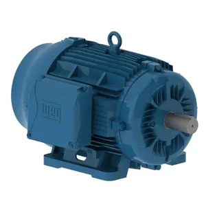 WEG 02009ET3H324T-W22 Electric Motor, 20Hp, 60Hz, 900 Rpm | BB8YYP