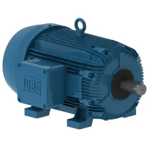 WEG 02512XT3H324T Electric Motor, 25Hp, 60Hz, 1180 Rpm | BB7BQG