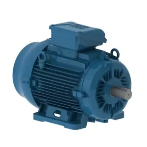 WEG 02518ET3E284TSF3-W22 Electric Motor, 25Hp, 60Hz, 1800 Rpm | BB8MYG