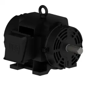 WEG 02536OT3ECD256TF2 Electric Motor, 25Hp, 60Hz, 3600 Rpm | BB8QMG