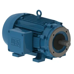 WEG 02518XT3E284TC Electric Motor, 25Hp, 60Hz, 1775 Rpm | BB6GBV