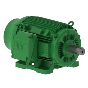 WEG 12536EG3G444TS-W22 Motor, 3 Phase, 125 Hp, Rpm 3580 444/5ts | AC8BGK 39J139