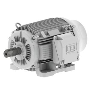 WEG 05012ES3EOW404T-W22 Well Motor, 50 Hp, 1135 Rpm, 208-230/460 | AE8TZZ 6FHZ8