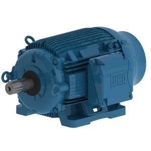 WEG 07589EP3PCT404V-W22 Electric Motor, 75/18.5Hp, 60Hz, 900/1800 Rpm | BB6BRJ