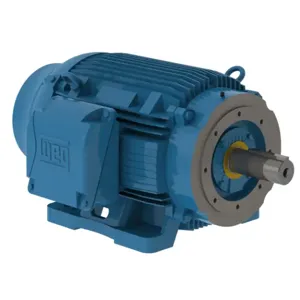 WEG 06012ST3QIE404TC-W22 Electric Motor, 60Hp, 60Hz, 1180 Rpm | BB6UNT