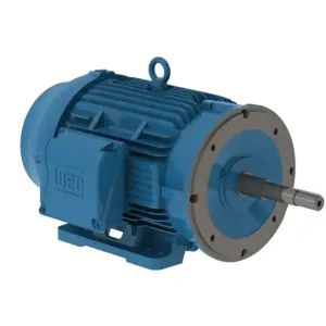 WEG 05018ET3E326JP-W22G Electric Motor, 50Hp, 60Hz, 1800 Rpm | BB9RMA