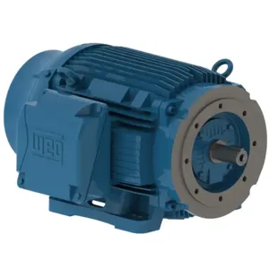 WEG 06009ET3E405TC-W22 Electric Motor, 60Hp, 60Hz, 900 Rpm | BC3EWC