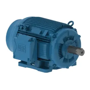 WEG 05009ET3EKD404T-W22 Electric Motor, 50Hp, 60Hz, 900 Rpm | BB9VYY