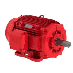 WEG 06015EP3OFP364TS-W22 Electric Motor, 60Hp, 60Hz, 1500 Rpm | BB9AJK