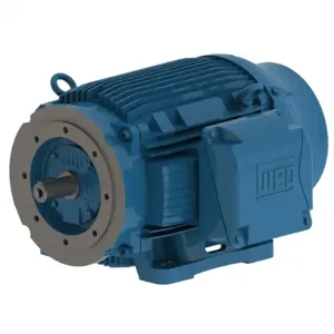 WEG 06018ET3E364TSCF2-W2 Electric Motor, 60Hp, 60Hz, 1800 Rpm | BB7EQL