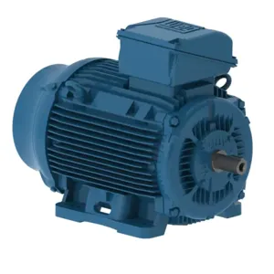 WEG 06018ET3H364TF3-W22 Electric Motor, 60Hp, 60Hz, 1800 Rpm | BB6WQV