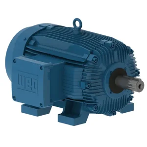 WEG 07536XT3H365TS Electric Motor, 75Hp, 60Hz, 3560 Rpm | BB6BRH