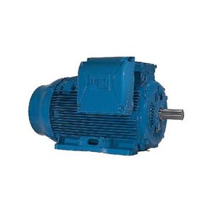 WEG 10009ET3GKD445T-W22 Electric Motor, 100Hp, 60Hz, 900 Rpm | BB9MVW