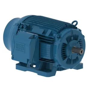 WEG 12536ET3H444TS-W22G Electric Motor, 125Hp, 60Hz, 3600 Rpm | BB9WNZ