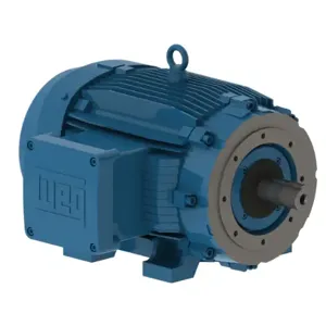 WEG 06018XT3E364TC Electric Motor, 60Hp, 60Hz, 1780 Rpm | BB6RCA