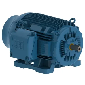 WEG 06036ST3QIE364TS-W22 Motor, 3 Phase 60 Hp, 3560 460v 364/5ts Eff 93.6 | AA6ZRY 15G077