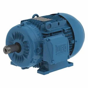 WEG 13984831 Metric Motor, Totally Enclosed Fan Cooled, Rigid Base Mount, 4 HP, 870 RPM, 460V AC | CL4YGM