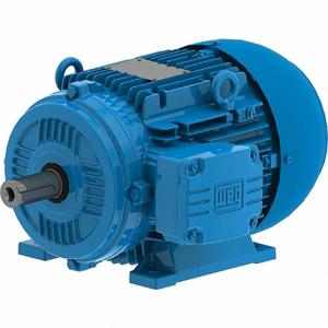 WEG 13984015 Metric Motor, Totally Enclosed Fan Cooled, Rigid Base Mount, 3 HP, 1750 RPM, 460V AC | CL4YGD