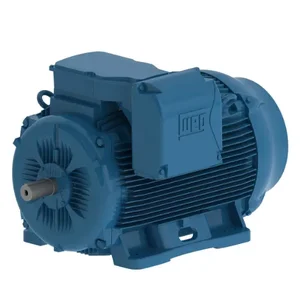 WEG 26012ET3Y355M/L-W22 Electric Motor, 260Hp, 60/50Hz, 1200 Rpm | BC2AFL