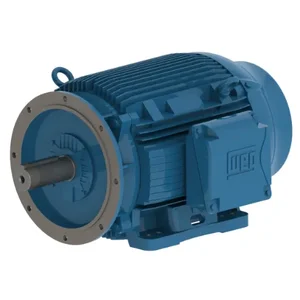 WEG 03736ET3Y200LFF-W22 Metric Motor, 50Hp, 230/460v Cw / Ccw | AA2GEY 10G904