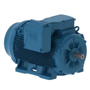 WEG 20012ET3G505-W22 Electric Motor, 200Hp, 60Hz, 1200 Rpm | BB7KPG