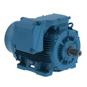 WEG 30018ET3GKD449T-W22 Electric Motor, 300Hp, 60Hz, 1800 Rpm | BB9EAV