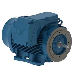 WEG 15018ET3G445TC-W22G Electric Motor, 150Hp, 60Hz, 1800 Rpm | BB9UJW