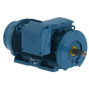 WEG 20009ST3QIE449T-W22 Electric Motor, 200Hp, 60Hz, 890 Rpm | BB7DZF