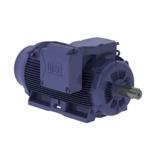 WEG 25015EP3OFP449TS-W22 Electric Motor, 250Hp, 50Hz, 1500 Rpm | BB8FBD