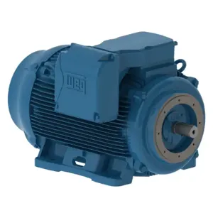 WEG 25018ET3G447TSC-W22 Electric Motor, 250Hp, 60Hz, 1800 Rpm | BB9KNY